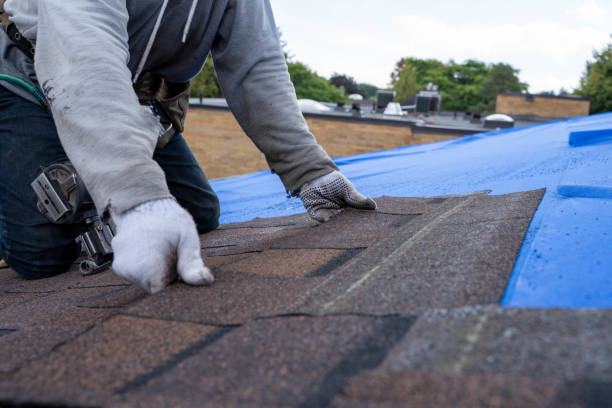 Best Residential Roofing Contractor  in Gleason, TN