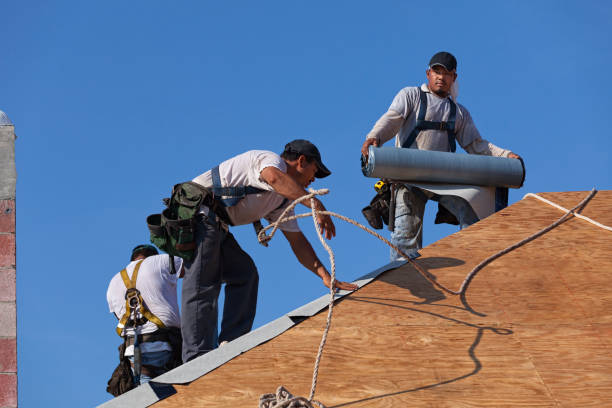 Best Gutter Installation and Roofing  in Gleason, TN
